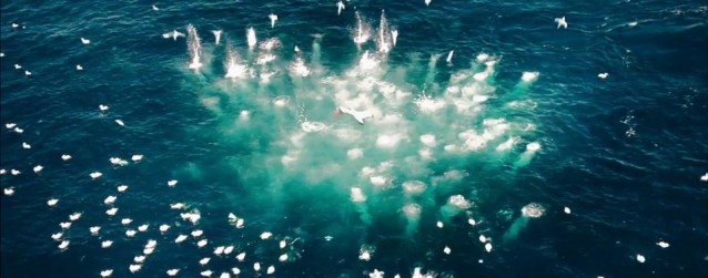 Self hosting video (MP4 but work with OGG, Webm)